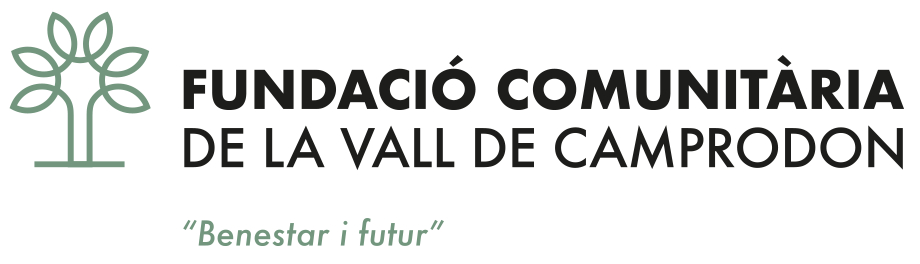 Logo FUNDACIO╠ü VALL CAMPRODON CLAIM Def