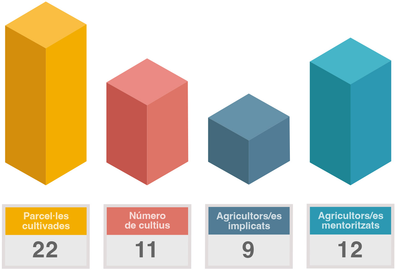 Valls Circulars en xifres Valls Circulars en xifres